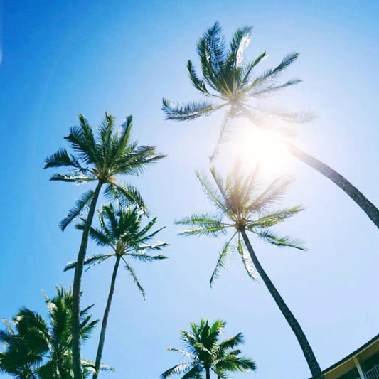 THINGS TO DO IN BALI