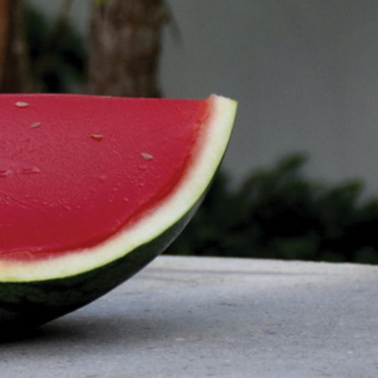 BCAA JELLY IN A WATERMELON